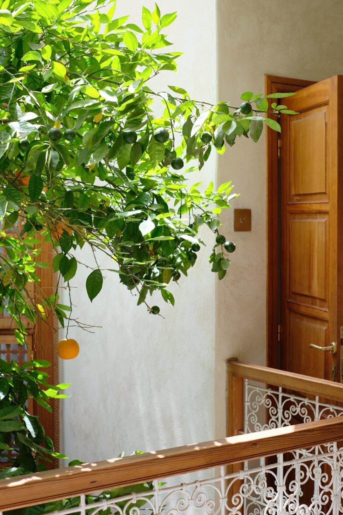 Riad L'Atelier Marrakesh Esterno foto